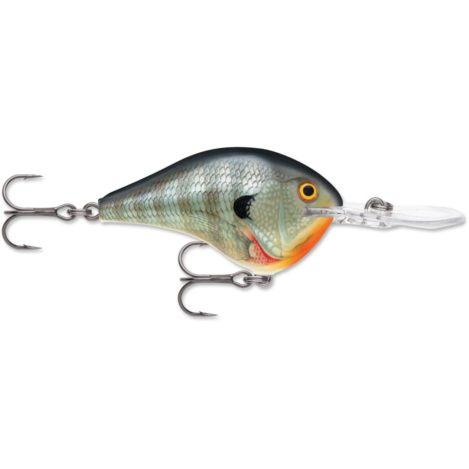 Rapala DT10 Series Crankbaits - Angler's Pro Tackle & Outdoors