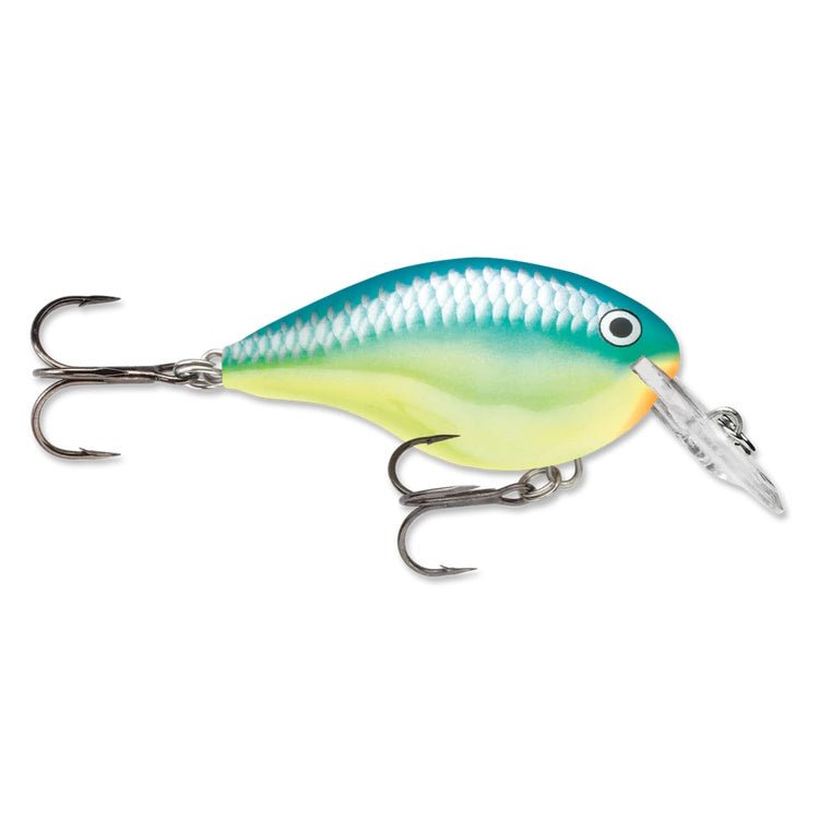 Rapala DT4 Series Crankbaits - Angler's Pro Tackle & Outdoors