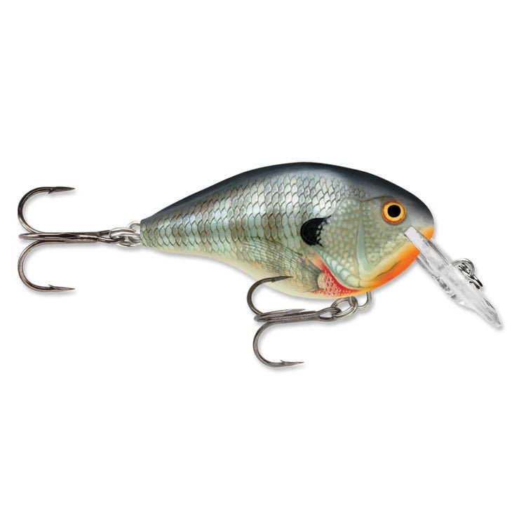 Rapala DT4 Series Crankbaits - Angler's Pro Tackle & Outdoors