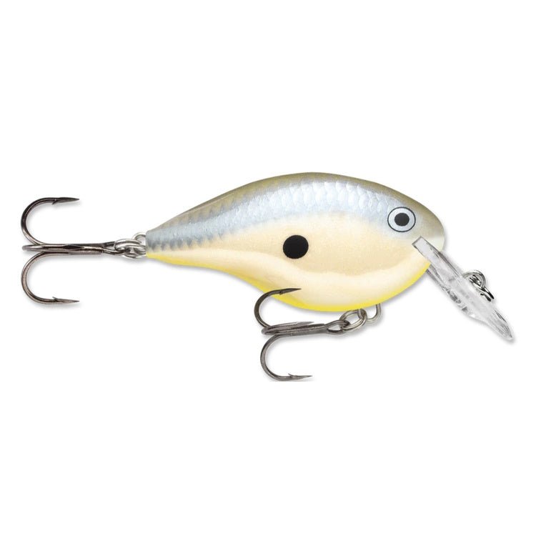 Rapala DT4 Series Crankbaits - Angler's Pro Tackle & Outdoors