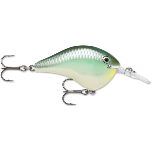 Rapala DT6 Series Crankbaits - Angler's Pro Tackle & Outdoors