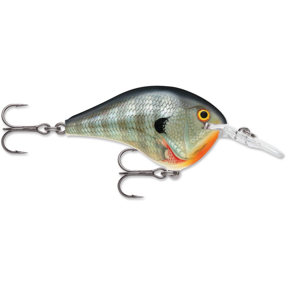 Rapala DT8 Series Crankbaits - Angler's Pro Tackle & Outdoors