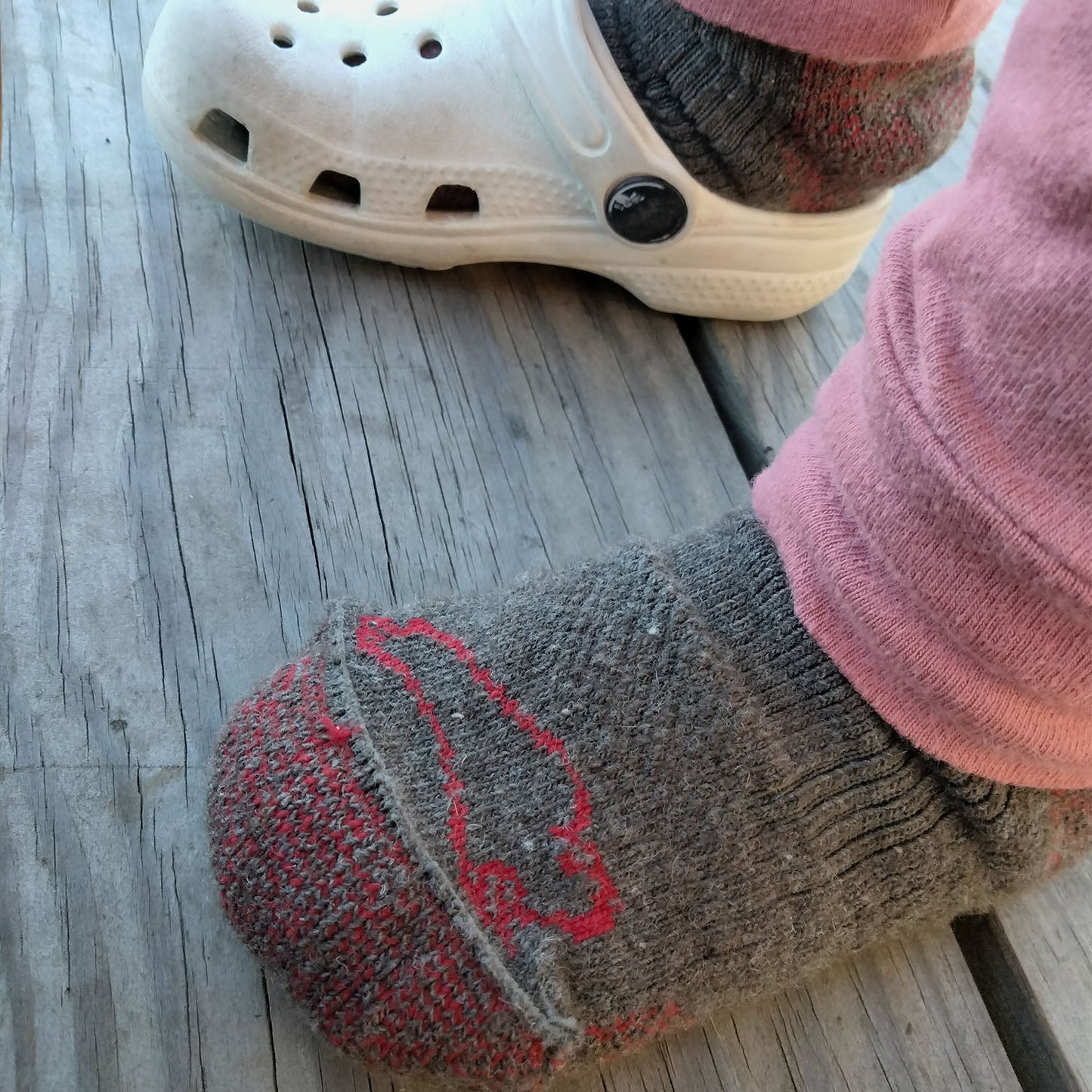 The Buffalo Wool Co. Red Dog Kids American Field Jr. - Crew Socks