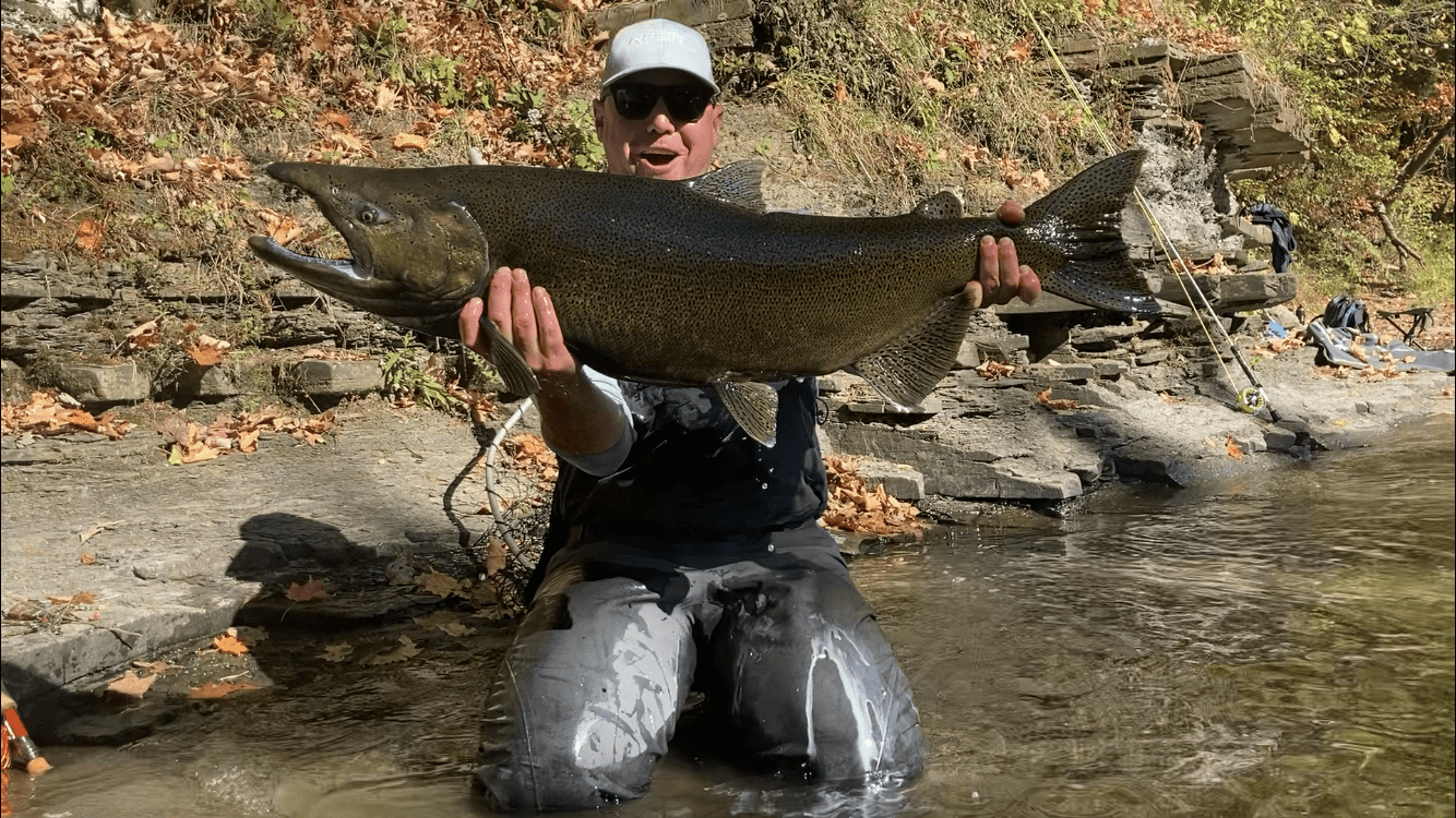 Risen Fly Salmon Kit - Angler's Pro Tackle & Outdoors