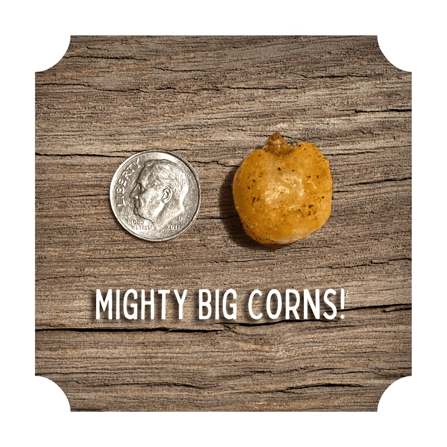 Rufus Teague CRUNCHIN' CORN - VARIETY PACK - Angler's Pro Tackle & Outdoors