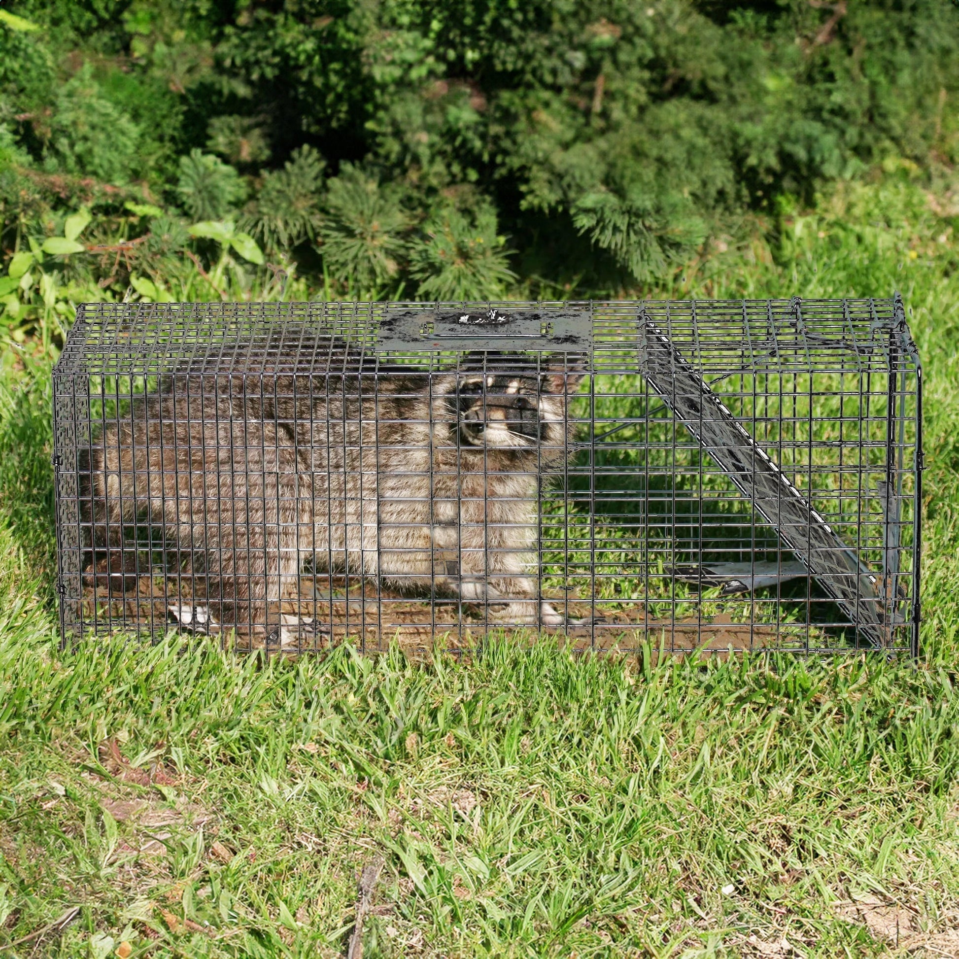 Rugged Ranch CatchMor Live Animal Multi Catch 2 Pack Trap, 1 Large & 1 Small - Angler's Pro Tackle & Outdoors