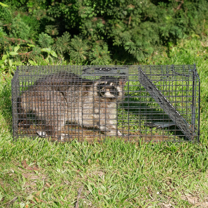 Rugged Ranch CatchMor Live Animal Multi Catch 2 Pack Trap, 1 Large & 1 Small - Angler's Pro Tackle & Outdoors