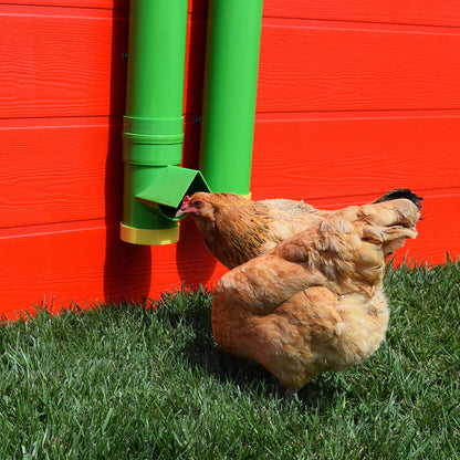 Rugged Ranch High End Hen 2 Gallon Poultry Waterer and Mounting System (4 Pack) - Angler's Pro Tackle & Outdoors