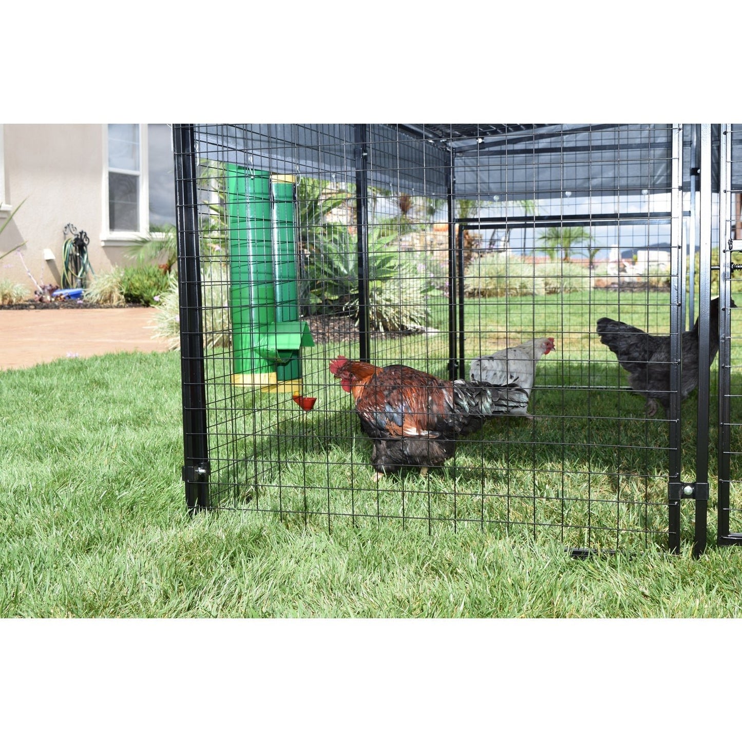 Rugged Ranch High End Hen Elevated 2 Gallon Poultry Waterer and Mounting System - Angler's Pro Tackle & Outdoors
