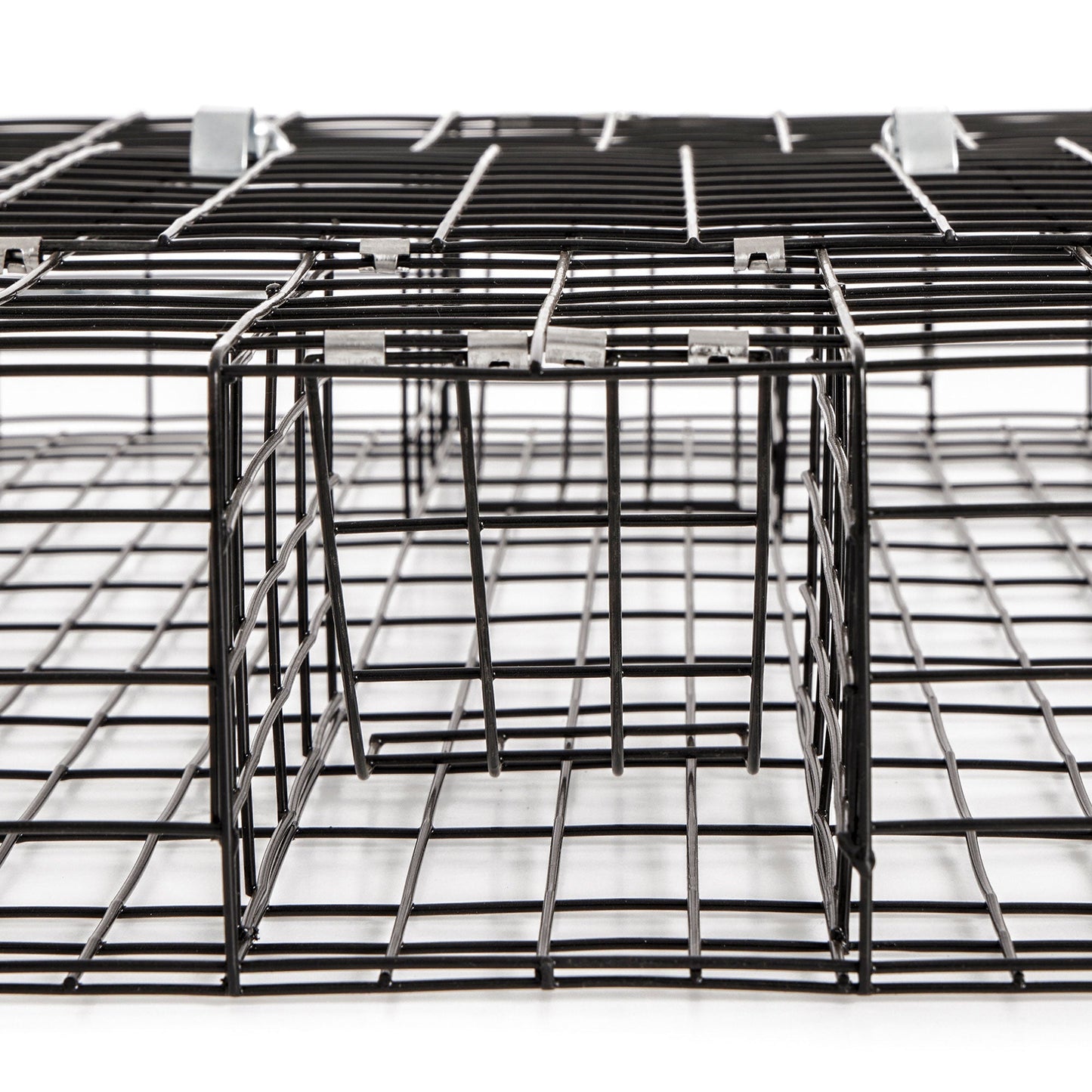 Rugged Ranch SQRTO Squirrelinator Squirrel 2 Door Trap Cage (2 Pack) - Angler's Pro Tackle & Outdoors