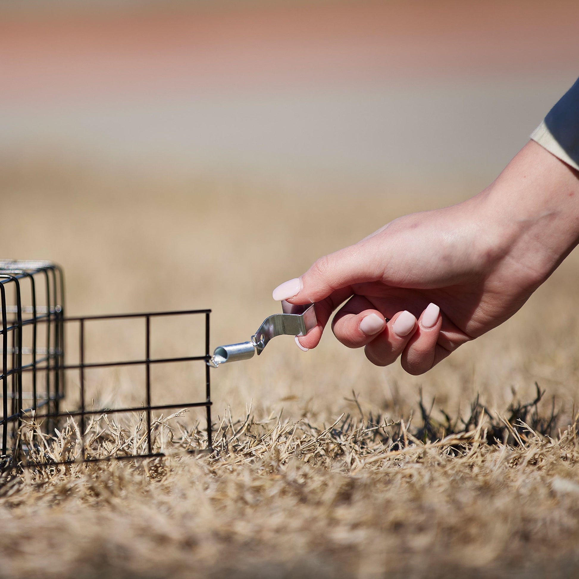Rugged Ranch SQRTO Squirrelinator Squirrel 2 Door Trap Cage (2 Pack) - Angler's Pro Tackle & Outdoors