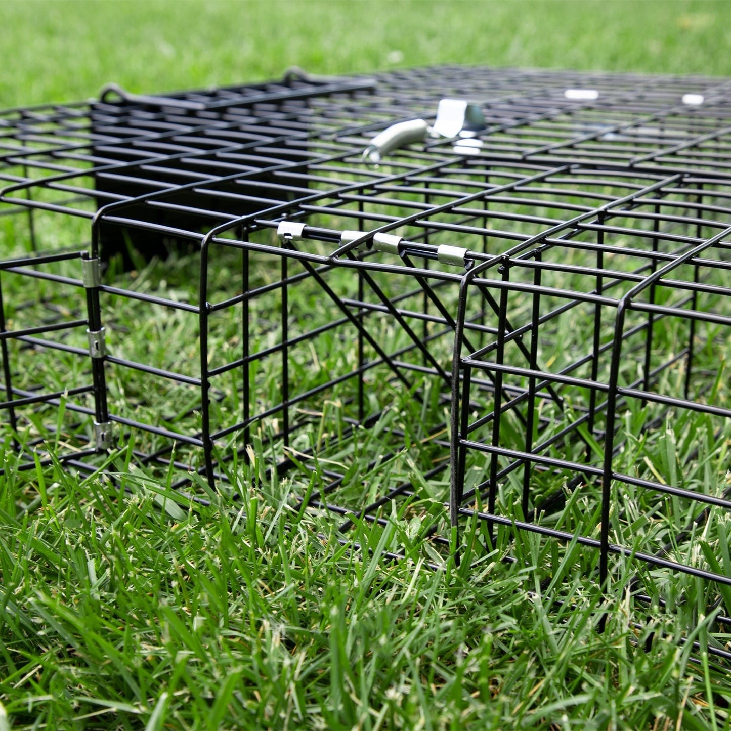 Rugged Ranch SQRTO Squirrelinator Trap CatchMor Live Animal 2 Door Metal Cage - Angler's Pro Tackle & Outdoors