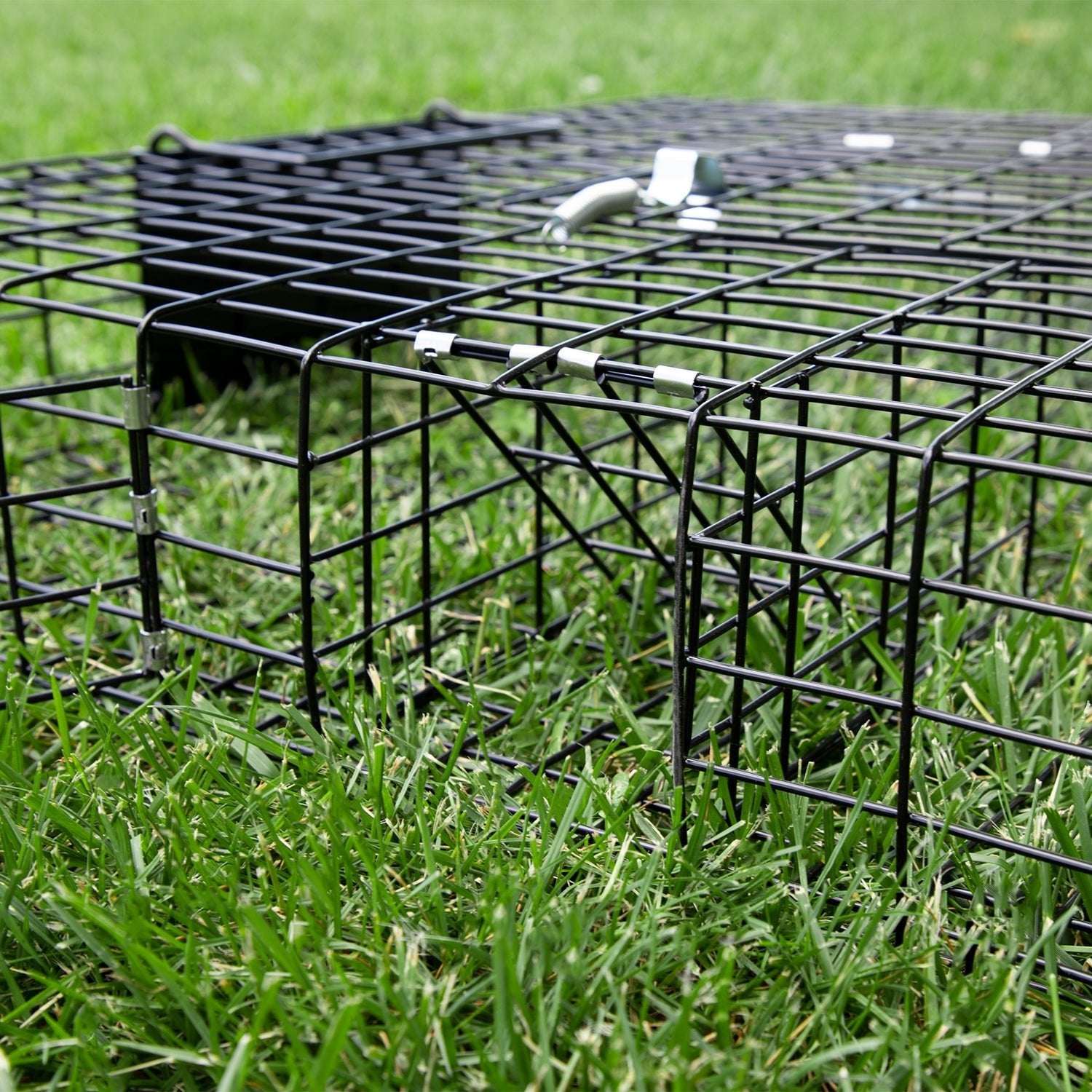 Rugged Ranch SQRTO Squirrelinator Trap CatchMor Live Animal 2 Door Metal Cage - Angler's Pro Tackle & Outdoors