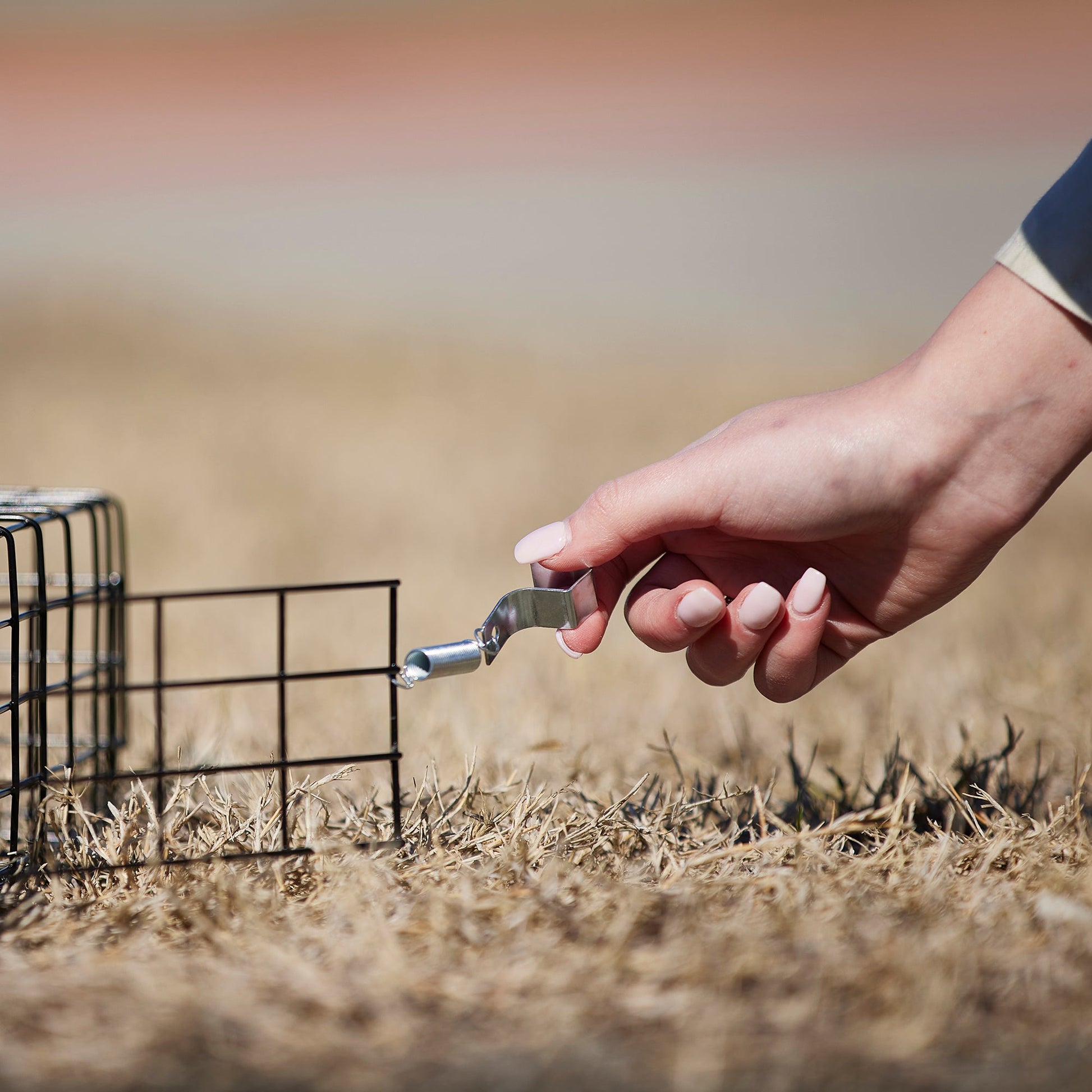 Rugged Ranch SQRTO Squirrelinator Trap CatchMor Live Animal 2 Door Metal Cage - Angler's Pro Tackle & Outdoors