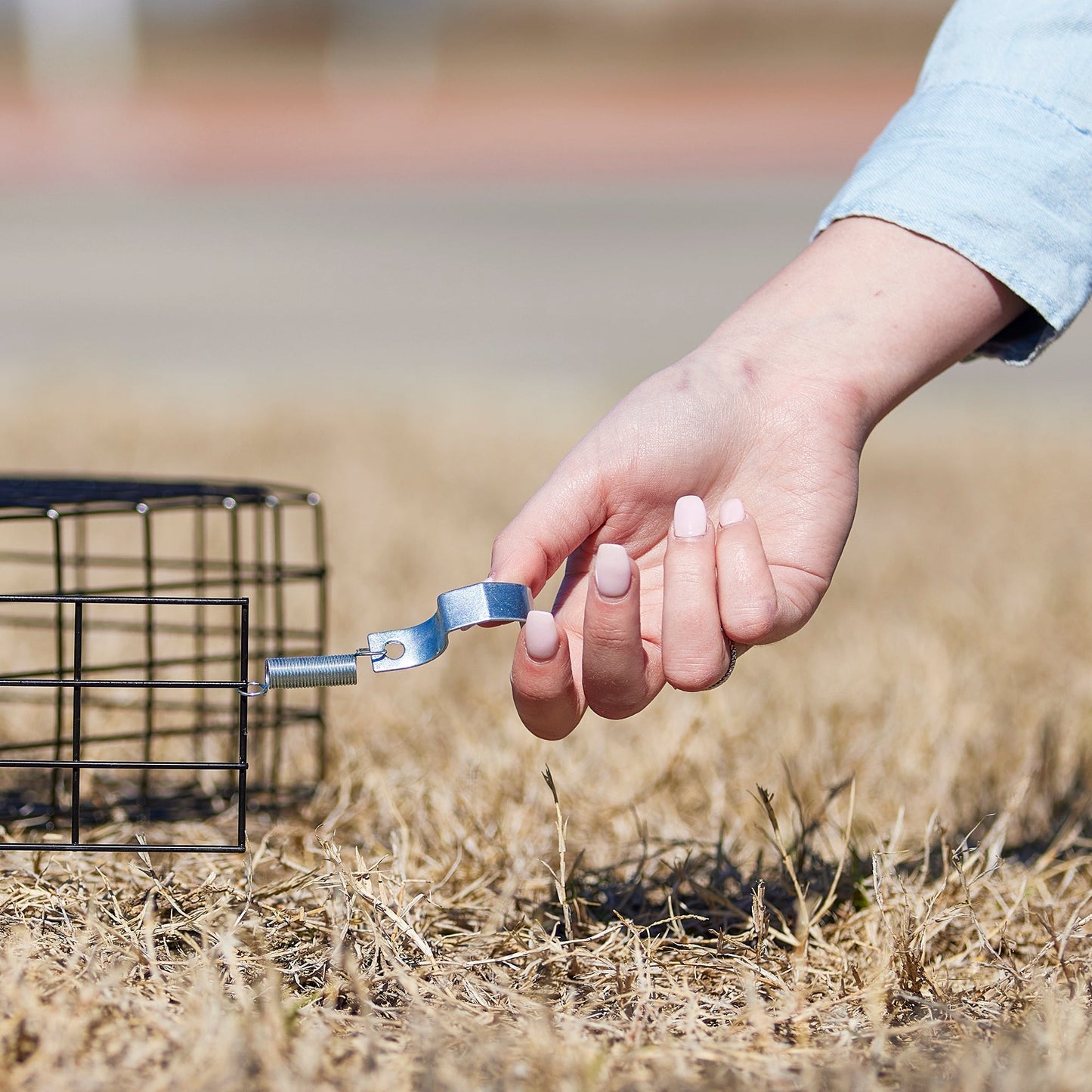 Rugged Ranch Squirrelinator Squirrel Chipmunk Metal 2 Door Trap Cage (4 Pack) - Angler's Pro Tackle & Outdoors
