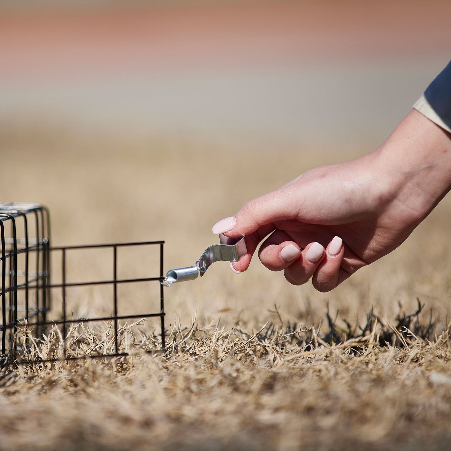 Rugged Ranch Squirrelinator Squirrel Chipmunk Metal 2 Door Trap Cage (4 Pack) - Angler's Pro Tackle & Outdoors