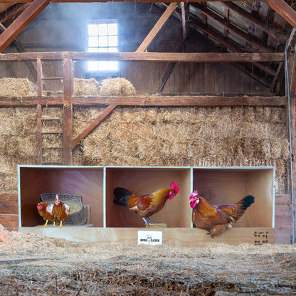 Rugged Ranch TRIPLEX RuggEgg Barn Wooden Chicken Coop Triple Nesting Egg Boxes - Angler's Pro Tackle & Outdoors