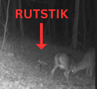 RutStik - Angler's Pro Tackle & Outdoors