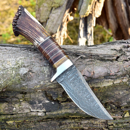 KBS Knives Custom Handmade Damascus Steel Hunting Knife with Rosewood, Stag Horn and Steel Guard Handle - 9 Inches by KBS Knives Store