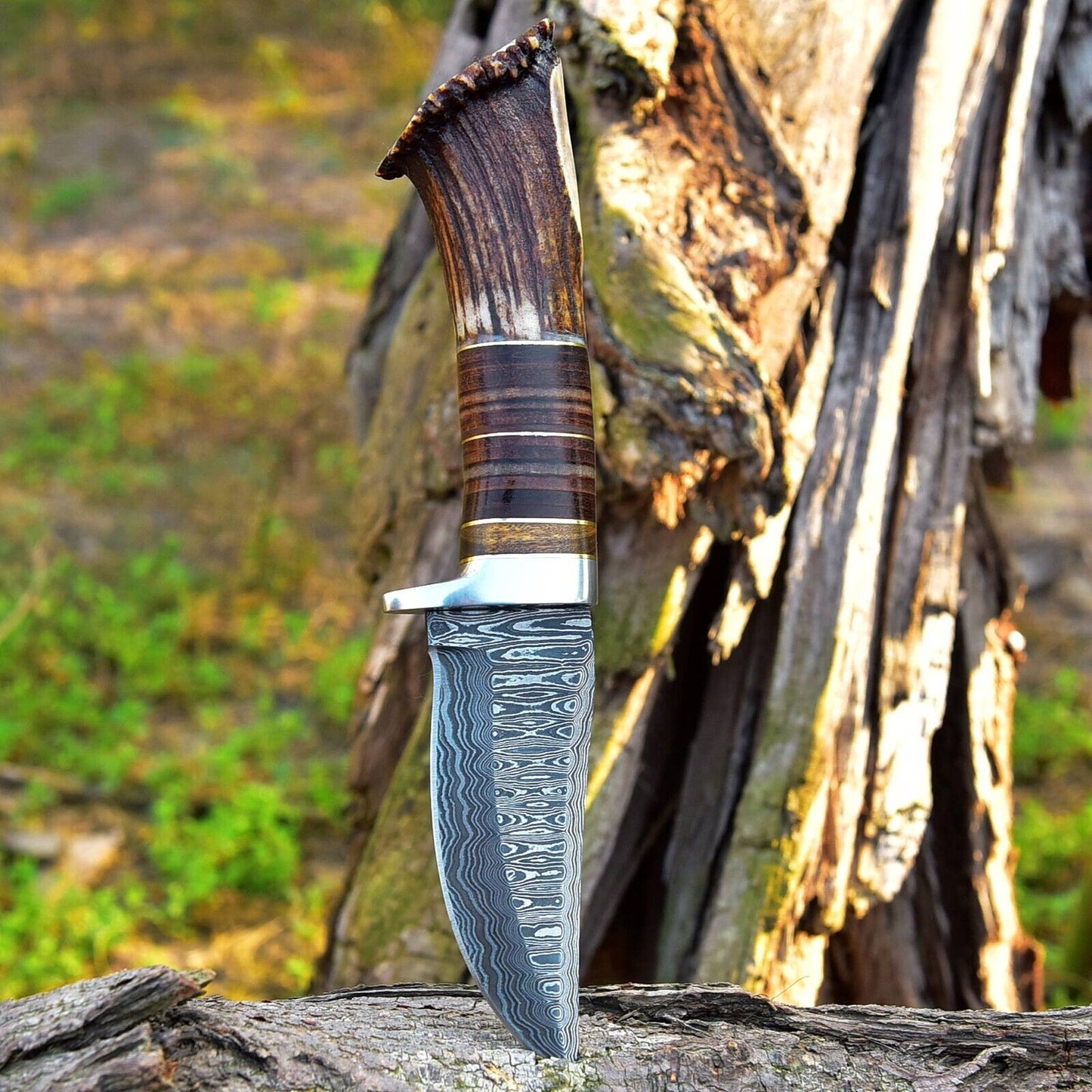KBS Knives Custom Handmade Damascus Steel Hunting Knife with Rosewood, Stag Horn and Steel Guard Handle - 9 Inches by KBS Knives Store