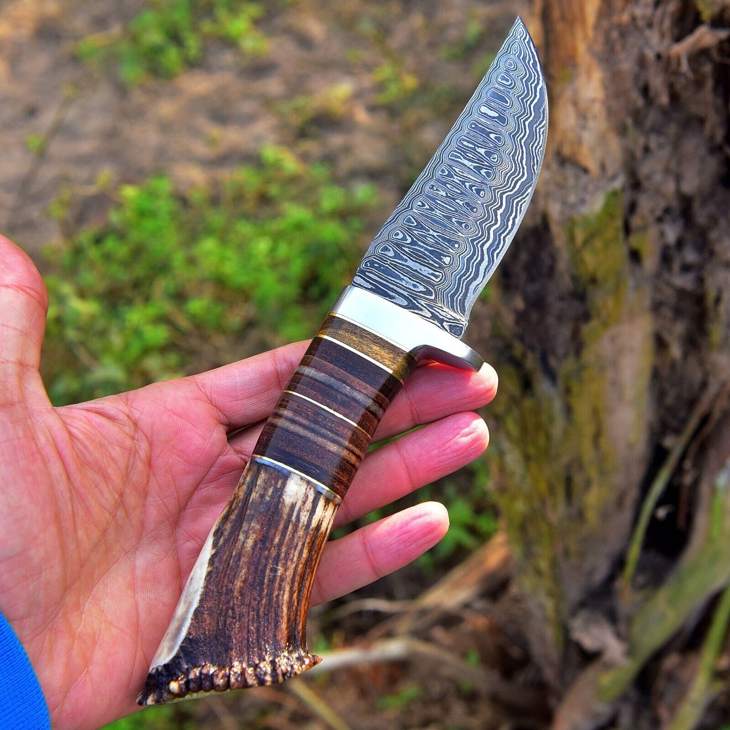 KBS Knives Custom Handmade Damascus Steel Hunting Knife with Rosewood, Stag Horn and Steel Guard Handle - 9 Inches by KBS Knives Store