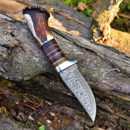 KBS Knives Custom Handmade Damascus Steel Hunting Knife with Rosewood, Stag Horn and Steel Guard Handle - 9 Inches by KBS Knives Store