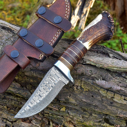 KBS Knives Custom Handmade Damascus Steel Hunting Knife with Rosewood, Stag Horn and Steel Guard Handle - 9 Inches by KBS Knives Store