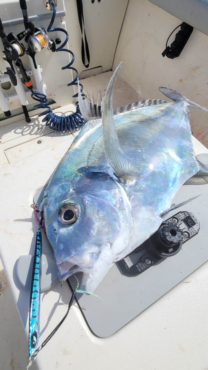Submission Fishing Co - Ogre Jigs - Middleweight Division