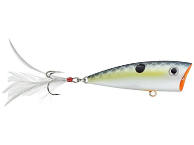 Yellow Magic Saucy Shad