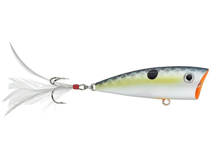 Yellow Magic Saucy Shad