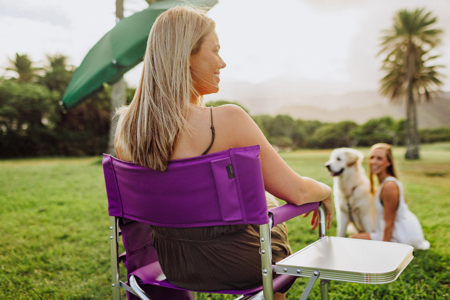 Picnic Time Sports Chair