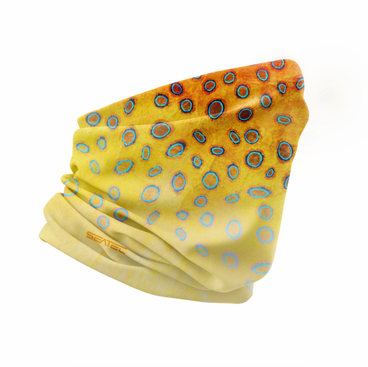 Seatec Outfitters BLUE RINGED | SHIELD