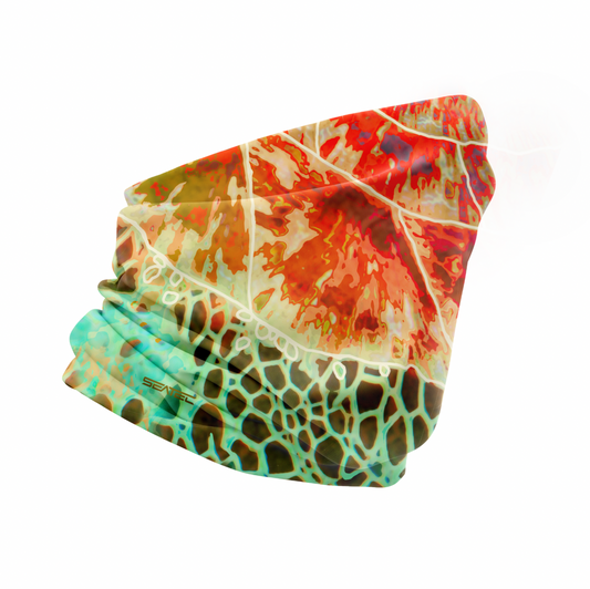 Seatec Outfitters SEA TURTLE | SHIELD