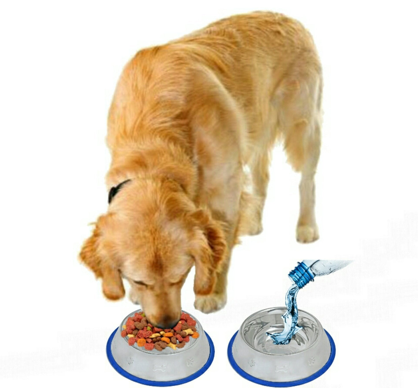 Set of 2 Etched Stainless Steel Dog Bowls with Blue Silicone Base - Angler's Pro Tackle & Outdoors