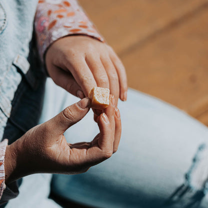 Catfish Pro Shad Catfish Bait