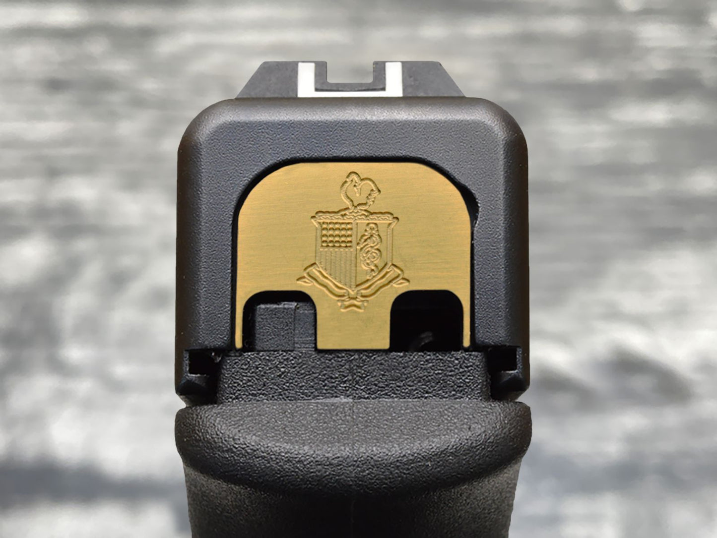 Milspin ARMY Slide Back Plates (Over 100 Emblems)