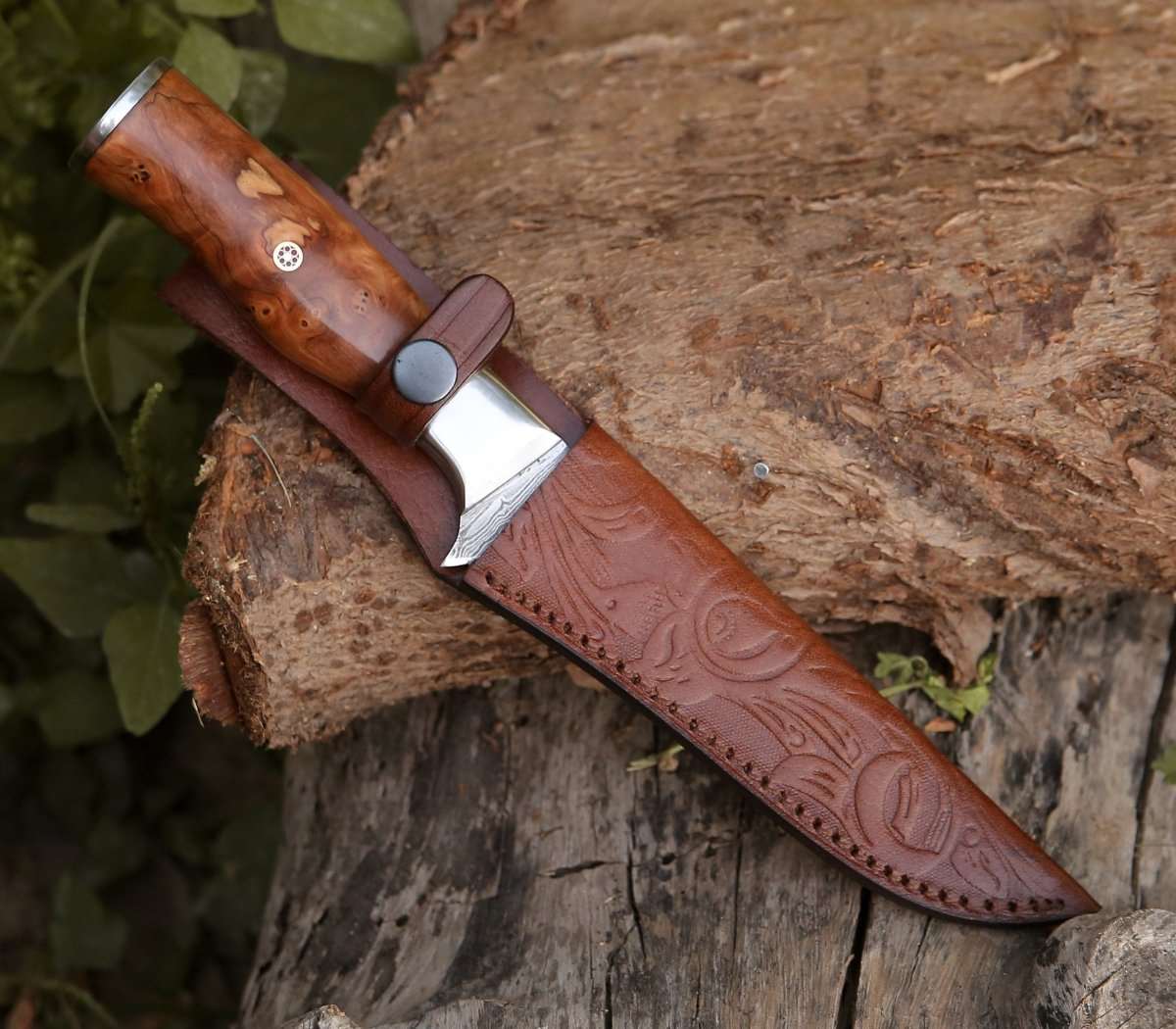 Shokunin USA Concord Damascus Fillet Knife with Exotic Olive wood Handle - Angler's Pro Tackle & Outdoors