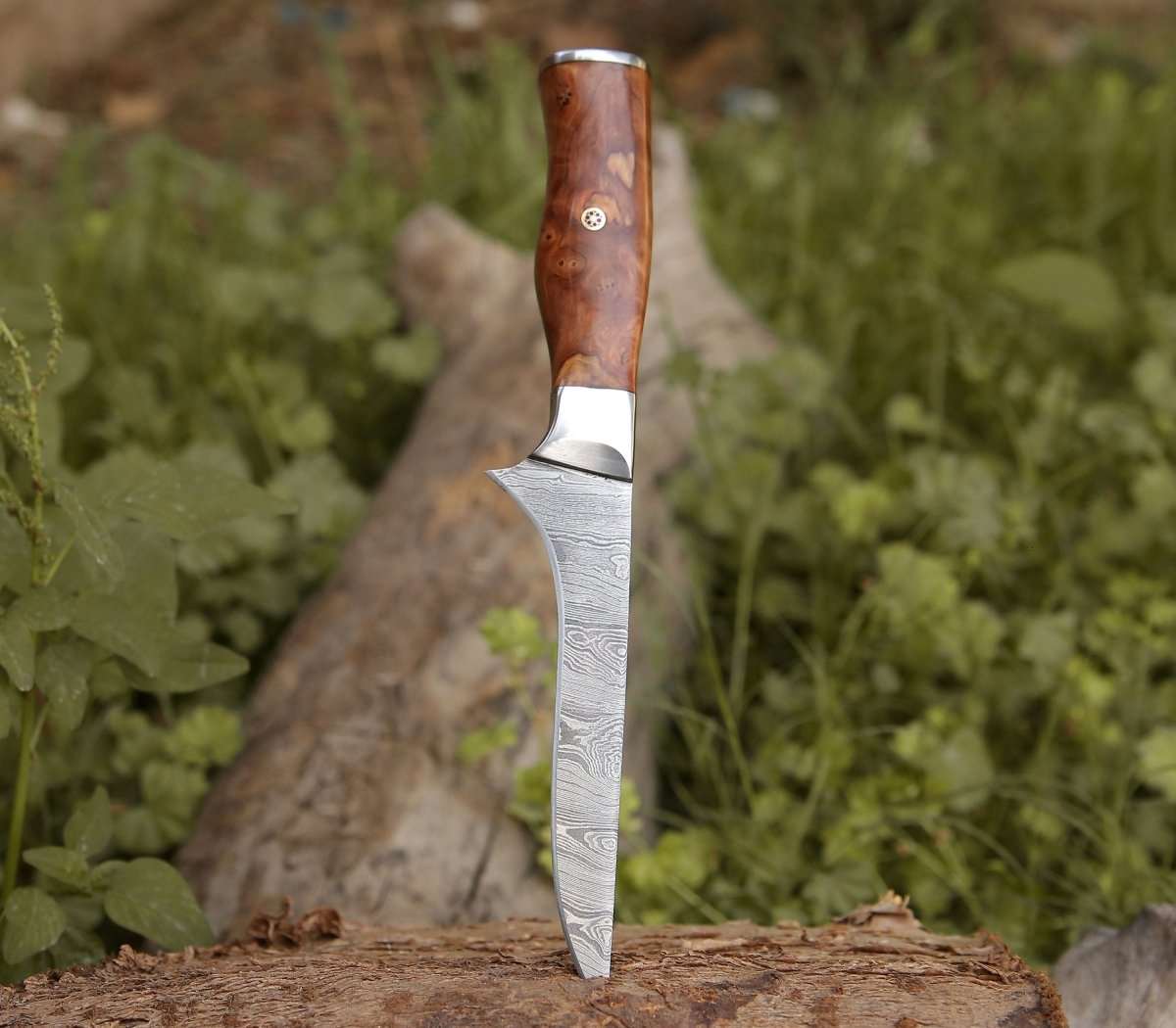 Shokunin USA Concord Damascus Fillet Knife with Exotic Olive wood Handle - Angler's Pro Tackle & Outdoors