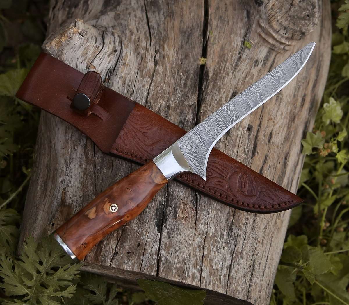 Shokunin USA Concord Damascus Fillet Knife with Exotic Olive wood Handle - Angler's Pro Tackle & Outdoors