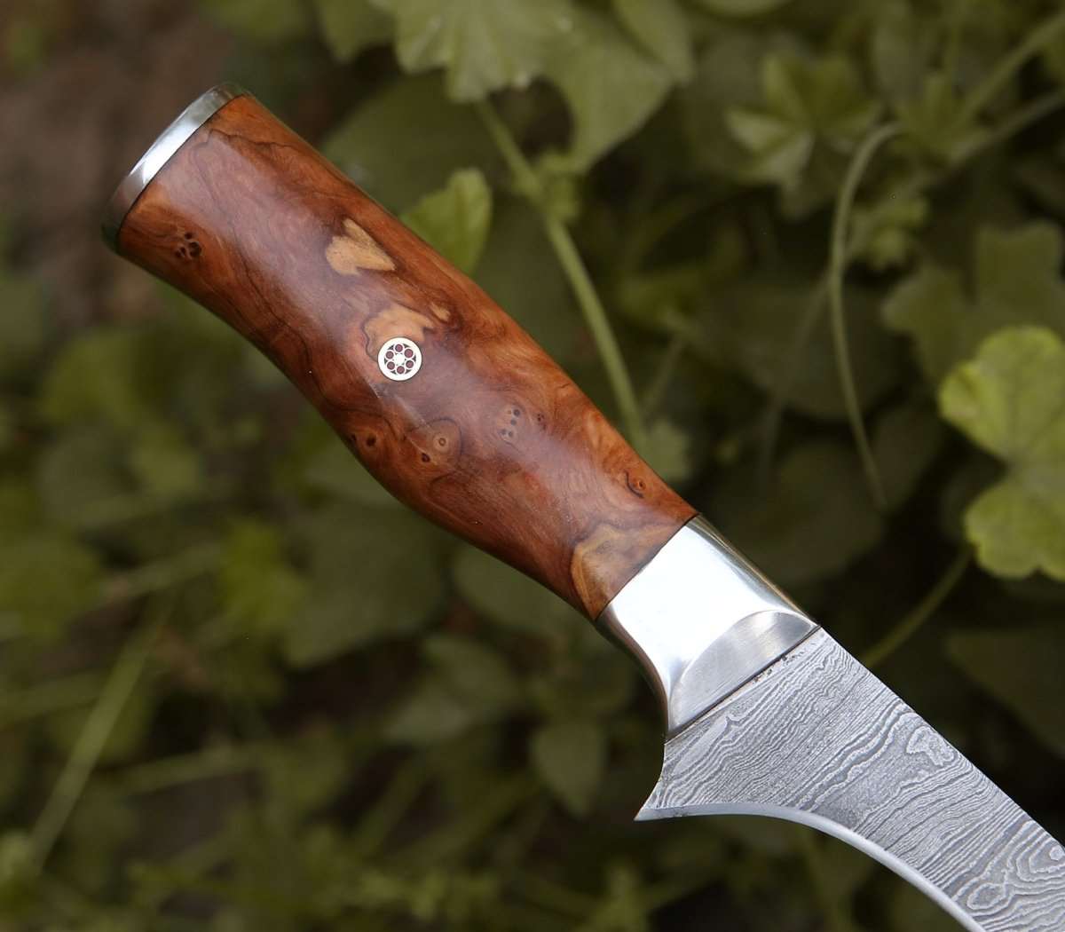 Shokunin USA Concord Damascus Fillet Knife with Exotic Olive wood Handle - Angler's Pro Tackle & Outdoors