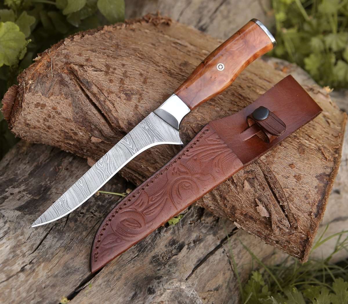 Shokunin USA Concord Damascus Fillet Knife with Exotic Olive wood Handle - Angler's Pro Tackle & Outdoors