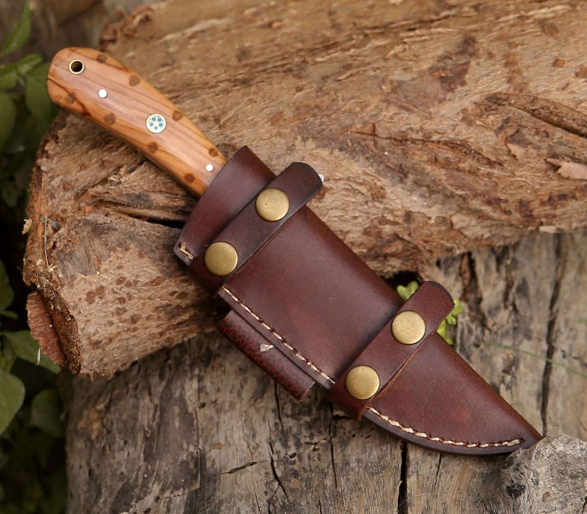 Shokunin USA Cutlass Damascus Knife with Exotic Olive Wood Handle - Angler's Pro Tackle & Outdoors