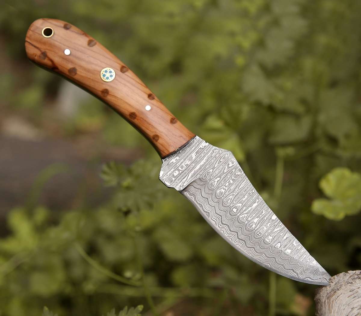 Shokunin USA Cutlass Damascus Knife with Exotic Olive Wood Handle - Angler's Pro Tackle & Outdoors