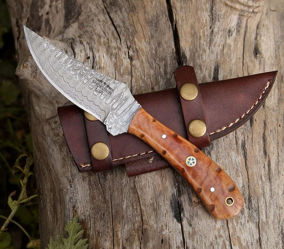 Shokunin USA Cutlass Damascus Knife with Exotic Olive Wood Handle - Angler's Pro Tackle & Outdoors