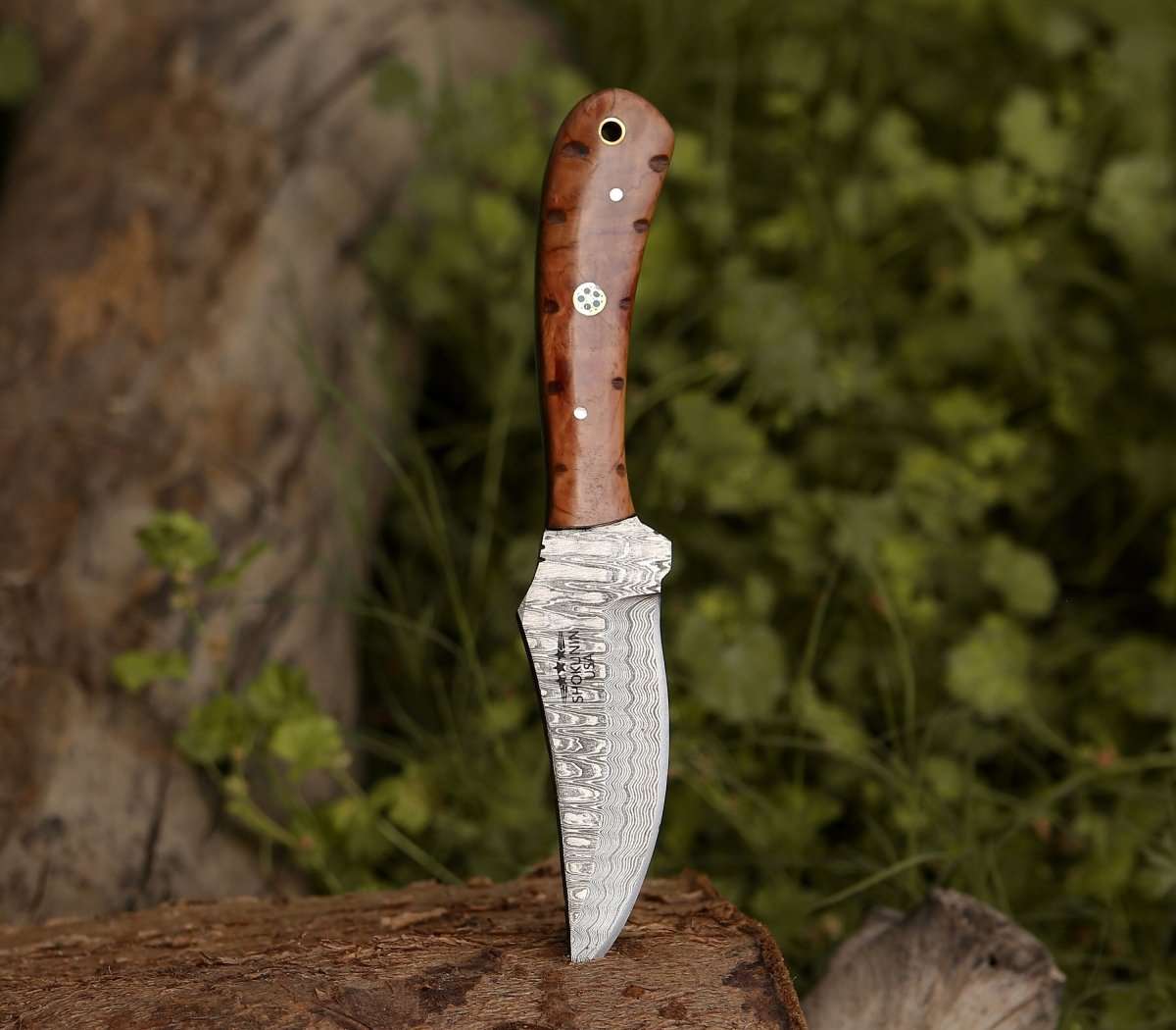 Shokunin USA Cutlass Damascus Knife with Exotic Olive Wood Handle - Angler's Pro Tackle & Outdoors