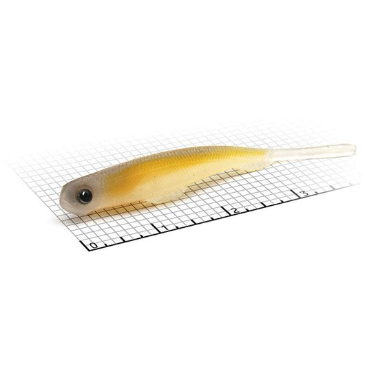 Skinny Bear Shad Eye II Drop Shot Worm - Angler's Pro Tackle & Outdoors