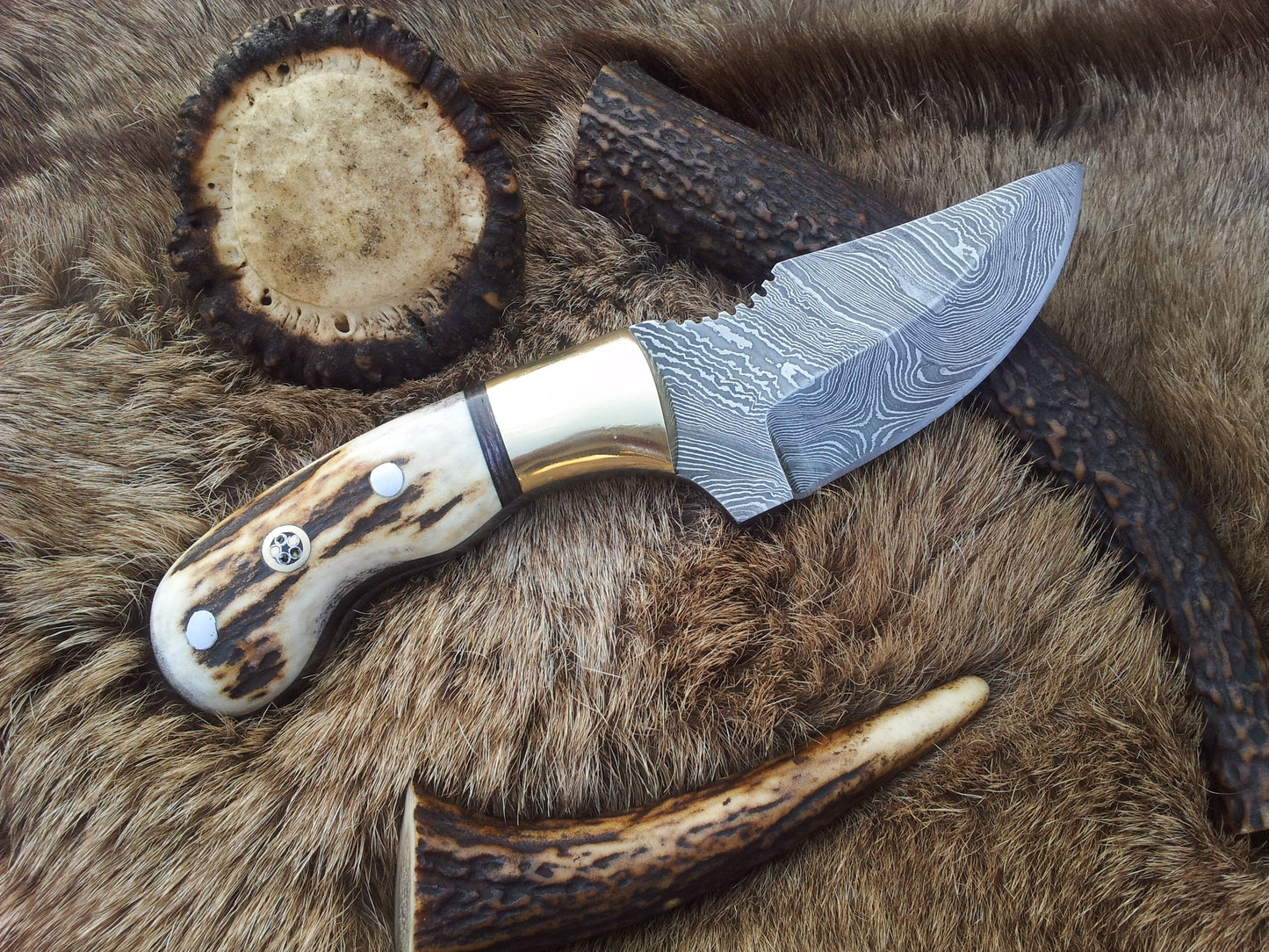 KBS Knives Custom Damascus Steel Field Dressing Deer Skinny Knife – 7.25 Inch Drop Point Blade with Antler Horn Handle and Brass Bolster