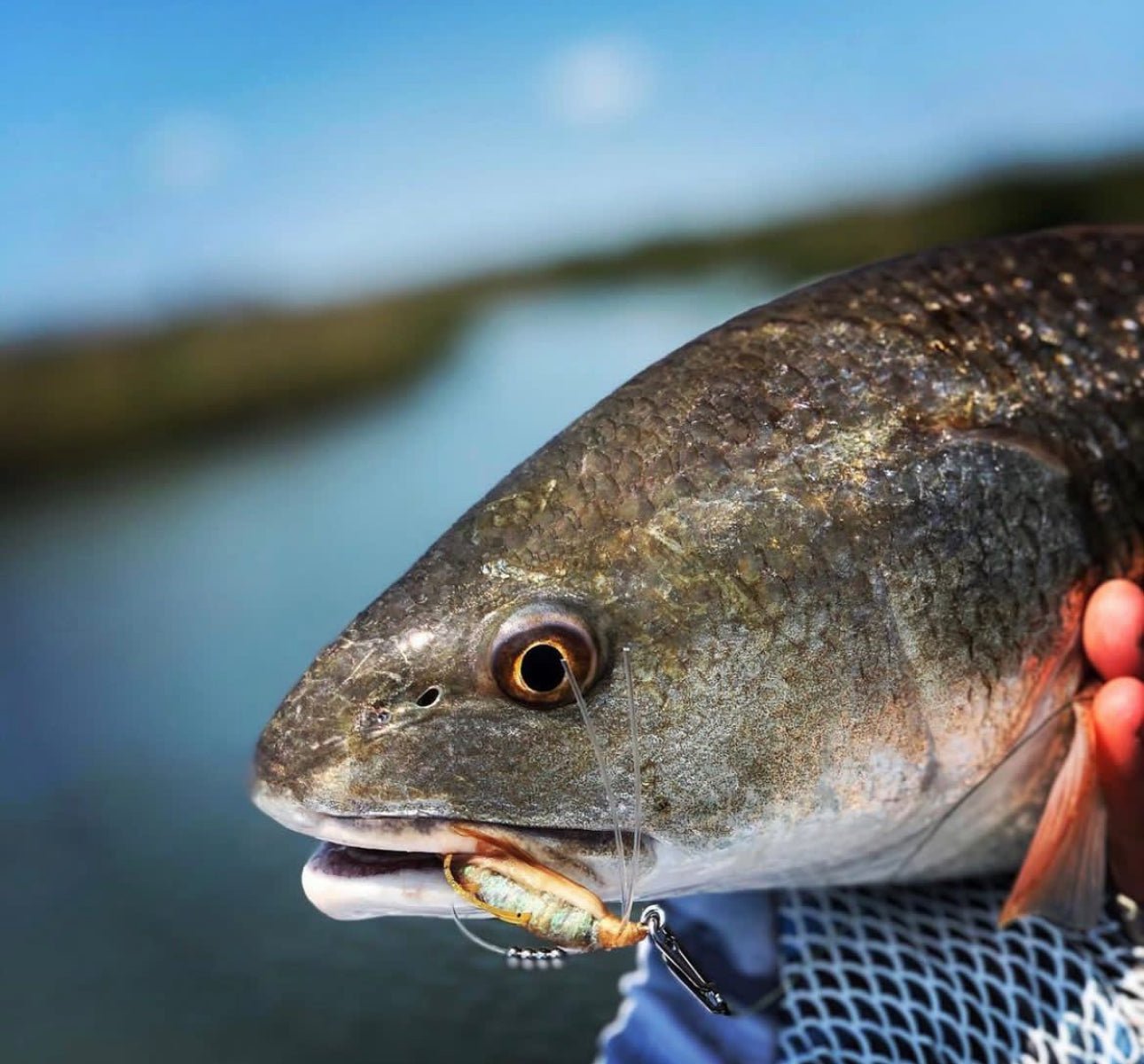 Small Speed Clips (45lbs) - Angler's Pro Tackle & Outdoors