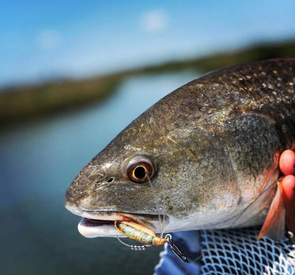 Small Speed Clips (45lbs) - Angler's Pro Tackle & Outdoors