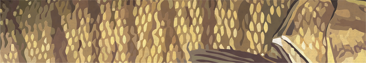 Natives Fly Fishing 2024 Catch Cam Net Handles